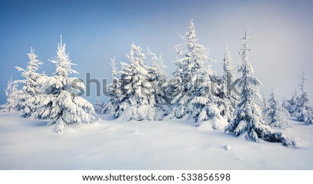 Great morning view of mountain forest after heavy snowfall. Misty winter landscape in the snowy wood, Happy New Year celebration concept. Artistic style post processed photo.