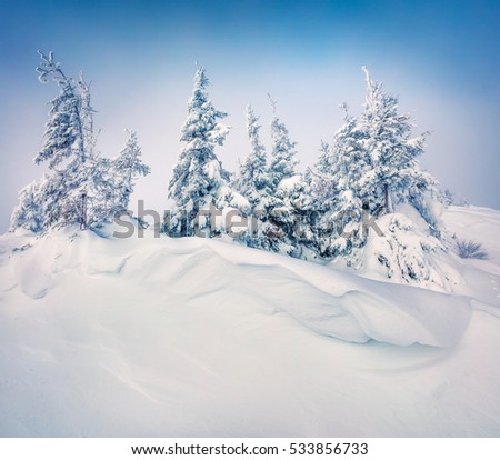 Bright morning scene in the mountain forest after heavy snowfall. Misty winter landscape in the snowy wood, Happy New Year celebration concept. Artistic style post processed photo.