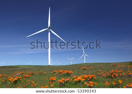 White power generating wind turbines, windmills against  blue sky, orange wildflowers, california poppies, on agricultural green pastures