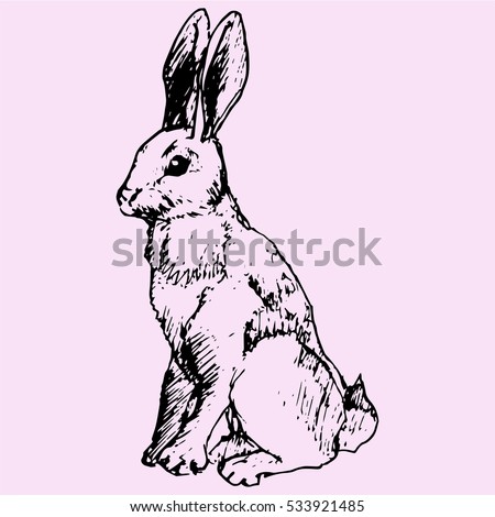 hare, doodle style sketch illustration hand drawn vector 