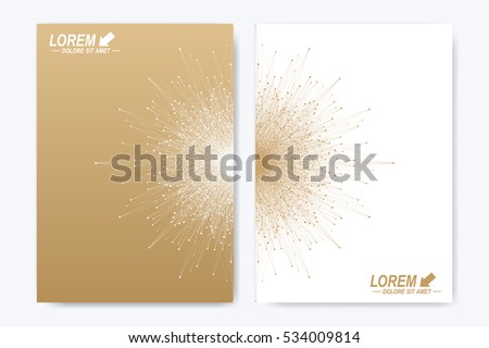 Modern vector template for brochure leaflet flyer cover catalog magazine or annual report. Golden layout in A4 size. Business, science and technology design book layout. Presentation with mandala Royalty-Free Stock Photo #534009814