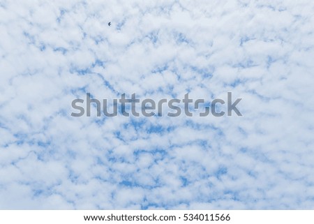 white fluffy clouds in the blue sky.