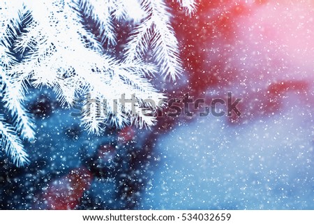 Pine branch blue sky with snowflakes. Abstract Christmas background