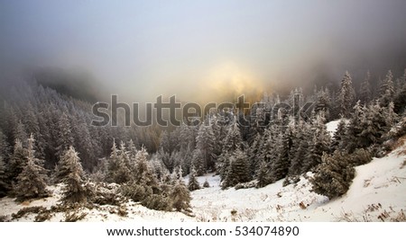 Fantastic dawn winter landscape with dramatic sunrise, fog and snow