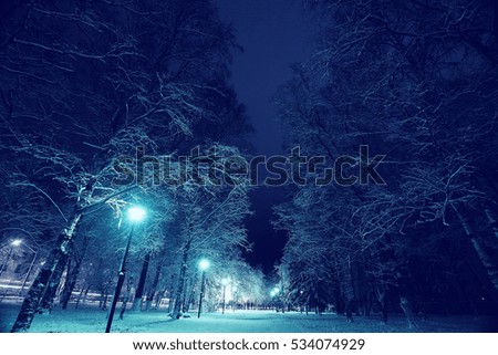 Night winter landscape in amazing city