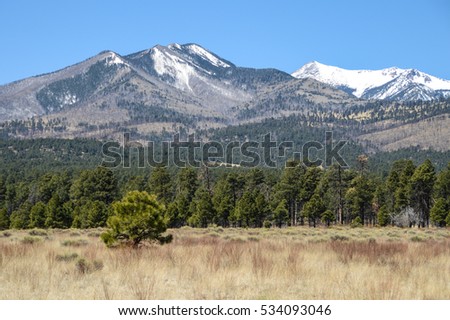 This is an image of Humphrey's Peak close to Flagstaff, Arizona! It was taken on a 2,000 mile road trip through Utah and Arizona. I tried to take as many pictures as possible.