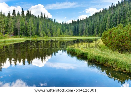 Blue water in a forest lake with pine trees Royalty-Free Stock Photo #534126301