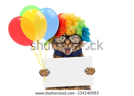 Funny cat is wearing a clown's costume and holding balloons. White label for text.  Royalty-Free Stock Photo #534140983