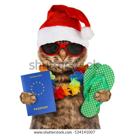 Funny cat is wearing a Christmas hat and holding passport and flip flops.