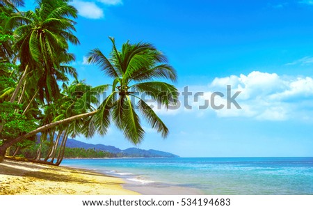 Beautiful sunny beach. View of nice tropical beach with palms around. Holiday and Vacation concept Royalty-Free Stock Photo #534194683