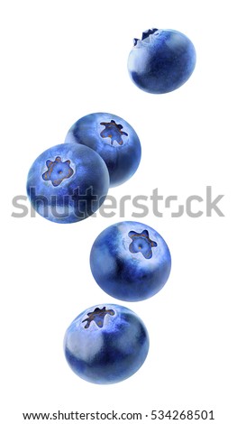 Isolated flying berries. Five falling blueberry fruits isolated on white background with clipping path Royalty-Free Stock Photo #534268501