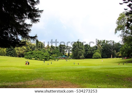 Royal Botanic Gardens. Peradeniya. Kandy.  Sri Lanka.
