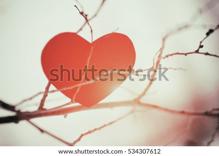Red heart decoration hanging on a branchl grunge background, Valentine day concept. Toned