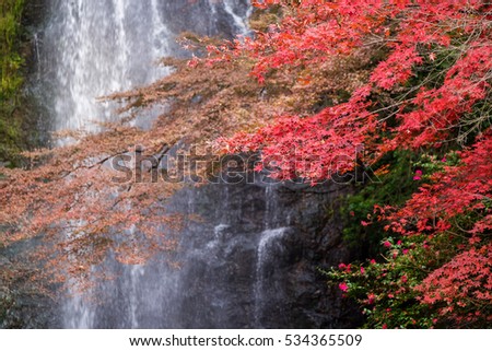 Minoo waterfall in autumn, Osaka, Japan