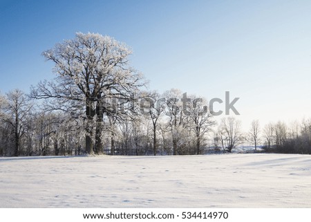 A beautiful winter landscape in nordic Europe