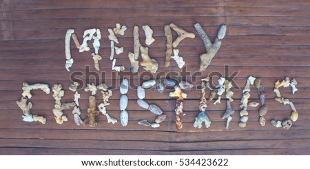 Merry Christmas coral inscription on wood backdrop. Merry Christmas greeting by corals. Seaside Christmas decor from the beach. Tropical winter holiday concept. Grunge Christmas banner template