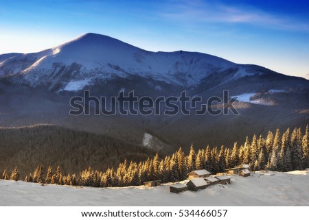 Beautiful view of winter snow-covered mountains in the foreground of a small village on the rear terms Hoverla