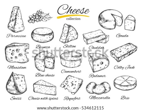 Cheese collection. Vector hand drawn  illustration of cheese types . Isolated on white Royalty-Free Stock Photo #534612115