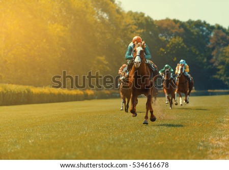 Horse Racing Royalty-Free Stock Photo #534616678