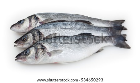 Sea basses isolated on white background with clipping path Royalty-Free Stock Photo #534650293