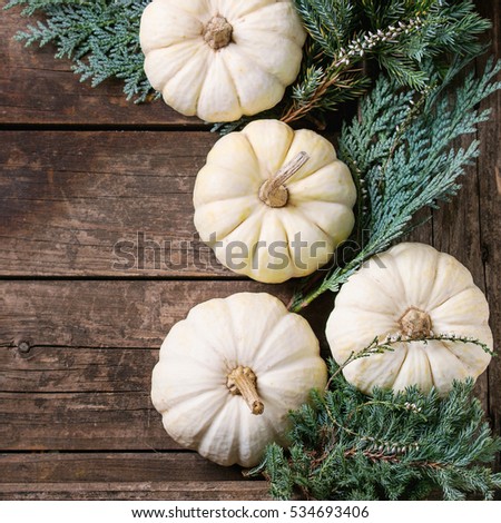 Holiday decoration with white decorative pumpkins and thuja branches over old dark wooden background. Top view with copy space. Square image