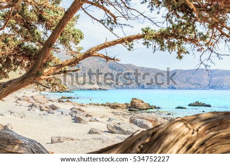 Lovely panoramic view through the branches of old cedar tree on the Kedrodasos beach near famous Elafonisi ( or Elafonissi , touristic place ). Scenic natural landscape. Chania. Crete. Greece. Europe
