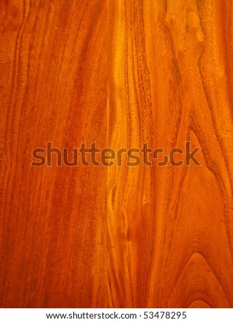 texture of wood background