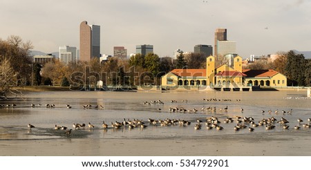 These birds seem to love the partially frozen lake in Denver's City Park