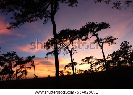After Sunset at PhuKradueng National Park 