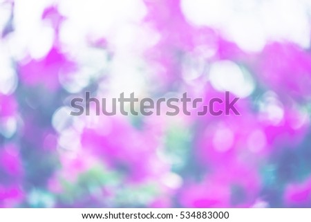 background blur natural and light background in the park. Flower Leaf blur bokeh