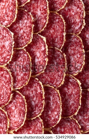 Salami sausage slices , focus on a center