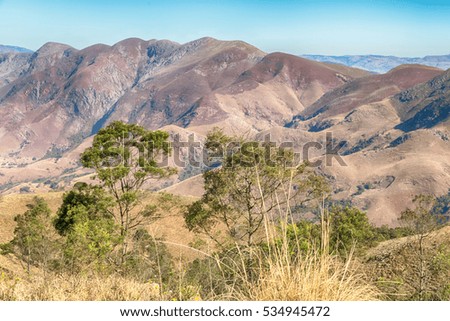 blur in swaziland     mlilwane wildlife  nature  reserve mountain and tree