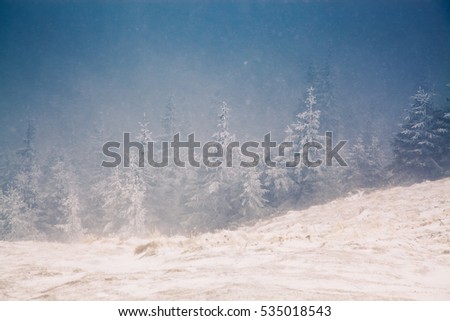winter wonderland - Christmas background with snowy fir trees in the mountains