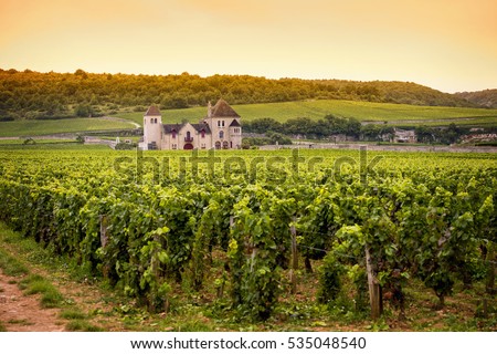 Chateau with vineyards, Burgundy, France Royalty-Free Stock Photo #535048540