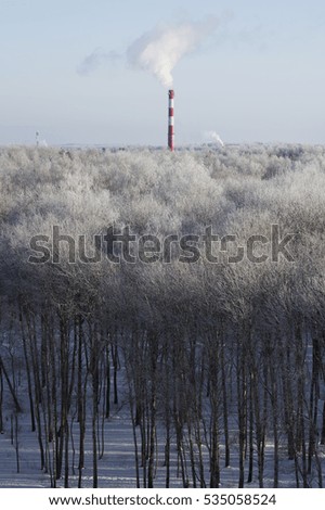 Winter forest with factory landscape