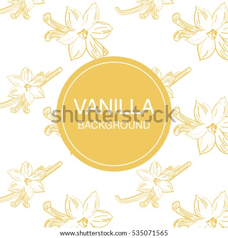 Vanilla flower sketch on white background square composition