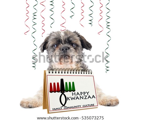Happy Kwanzaa Calendar Shitsu Dog Ribbons isolated on white background