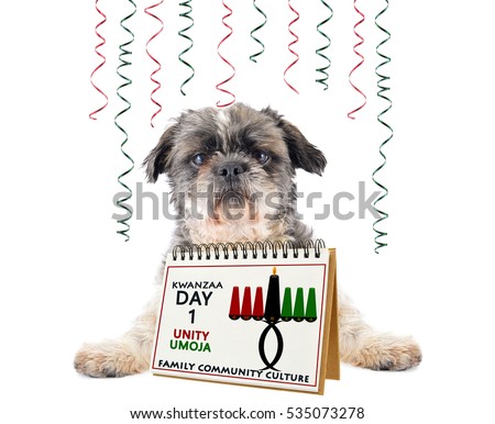 Kwanzaa Calendar ( Day 1 Unity / Umoja) Shitsu Dog Ribbons isolated on white background