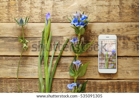 Beautiful fresh flowers and smartphone on wooden background