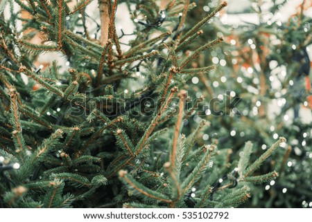 Fir-tree spruce branch with orange bokeh unfocused sparkles decor lights.
Christmas new year year background template. Holiday wallpaper concept. Shallow focus. Vintage effect. Copy space. 
