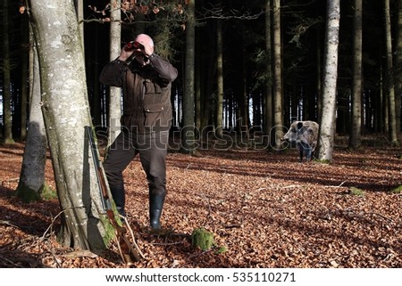 An old hunter standing by the tree and watching his hunting ground through his binoculars and do not notice the wild boar which is standing behind him in the forest. A picture to laugh.