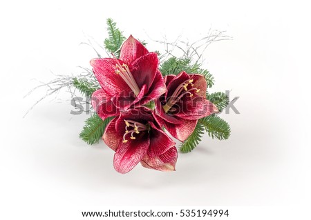flowers for Santa Claus