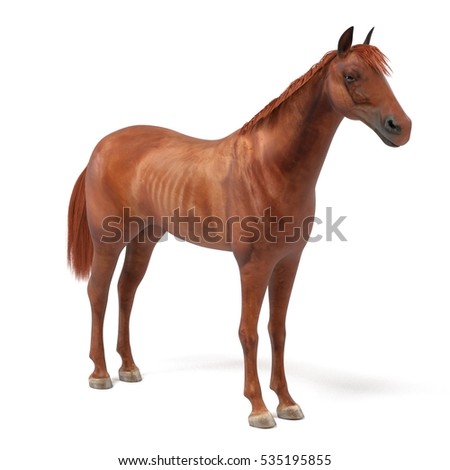 realistic 3d render of quarter horse