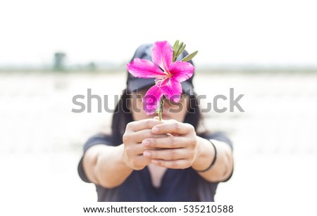 Pink flower in hands of woman, rural background