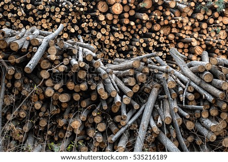Raw wood logs in a lumber staging and storage yard.