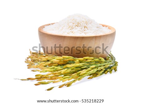 white rice (Thai Jasmine rice) in wooden bowl and unmilled rice isolated on white background Royalty-Free Stock Photo #535218229