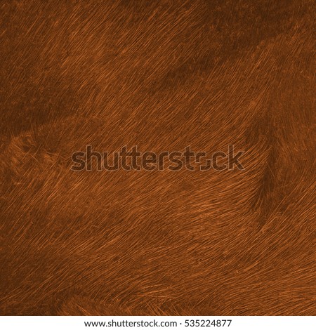  fox fur texture as background