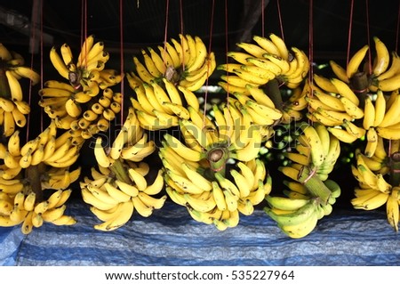 many banana hanging on the row