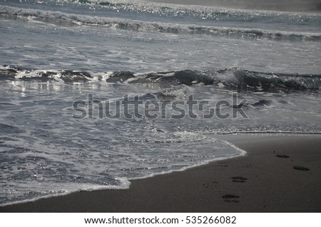 Beach Wave Sand Footprint 