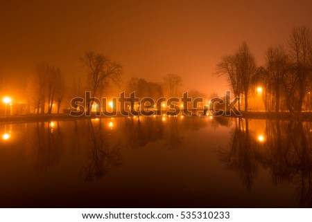 Mystical landscape with trees near the pond in misty autumn evening